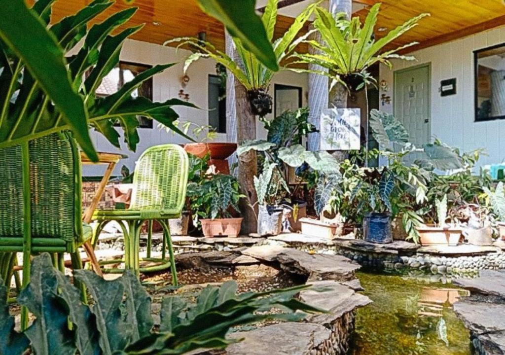 Infinite Green Pension Puerto Princesa Εξωτερικό φωτογραφία